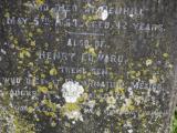 image of grave number 949530